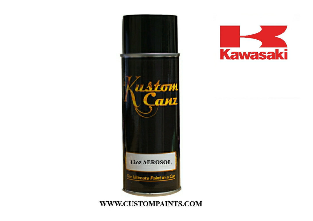 Kawasaki: Spark Black - Paint code 24 – Custom Paints Inc