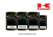 Kawasaki: Galaxy Silver - Paint code 9