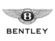 Bentley: Ghost White - Paint Code 6919