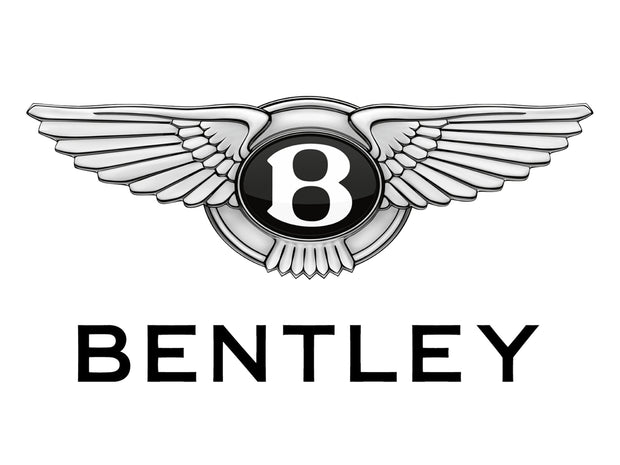 Bentley: Extreme Silver - Paint Code 9560195